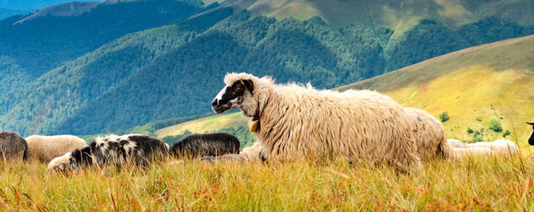 Bancompartir: Apoyo al campo y al emprendimiento colombiano