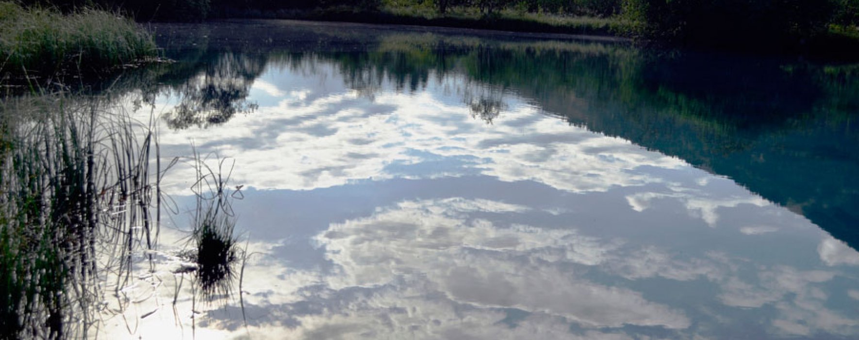 Estrategias para conservar el agua de Sumapaz