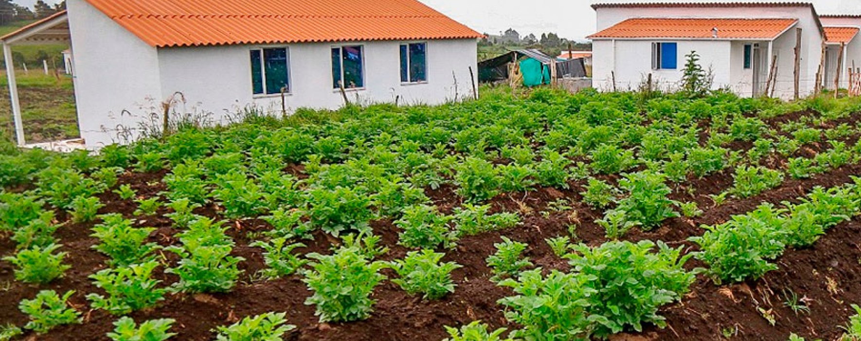 Gobierno asigna $202 mil millones para vivienda rural en 2019